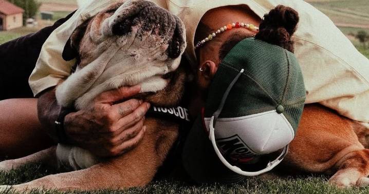 Lewis Hamilton de luto tras sufrir la muerte de Roscoe: Así fue su desgarrador adiós
