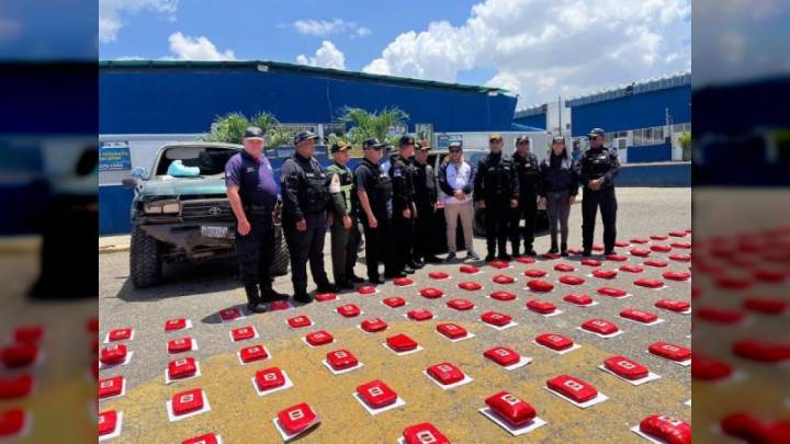 CPNB incautó más de 500 kilos de marihuana en Lara