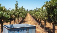 Santa Clara County Proposes Overhaul of Rural Zoning Ordinance