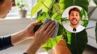 Álvaro Pedrera, experto en plantas: “Si no las limpiás, crecerán mal y enfermas”