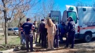 Córdoba: un bombero murió tras caer de un hidroelevador mientras podaba un árbol