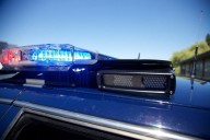 Man dies after stabbing at Dawson Park in NE Portland, suspect detained, police say