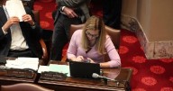 Nicole Mitchell, former state senator, gets work release, probation for burglary