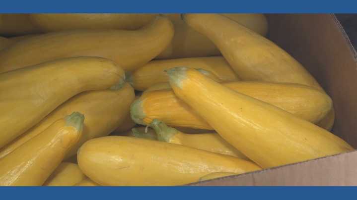 NLR food pantry fights food insecurity during hunger action month