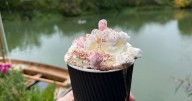 Wayne Rooney likes to fish there, but it's the cafe that's reeling customers in
