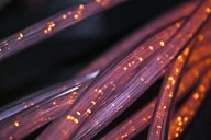 Morrisey announces state’s submission of final proposal for broadband expansion funding