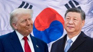 Trump, Xi to meet at APEC summit after 'very productive' phone call