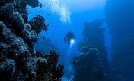 ¿Cuál es la profundidad máxima a la que llegó el ser humano en el océano?
