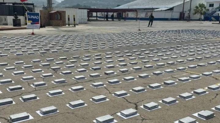 Venezuela ha incautado más de 60 toneladas de drogas este año