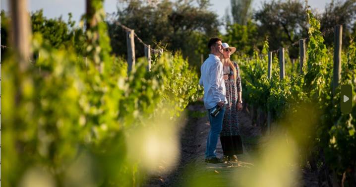 Argentina entre viñedos: Un recorrido por sus regiones vitivinícolas
