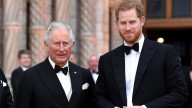Harry y Carlos III: un reencuentro entre la nostalgia y el pulso del poder