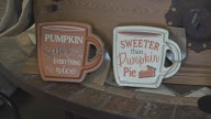 Money Saving Monday: Saving on Fall, Halloween decorations