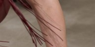 SPORTMAX - Detalles