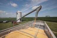 Trump Is Squeezing U.S. Farmers on All Sides