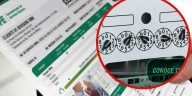 ¿Cómo leer tu medidor de luz? Guía práctica para validar tu consumo eléctrico