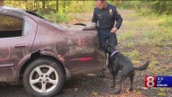 Connecticut police dogs go through arson detection training
