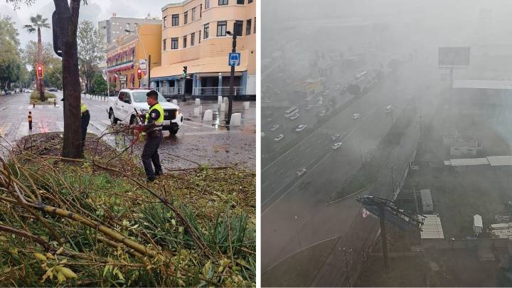 Lluvias derriban puerta de cristal, un árbol y un espectacular en Ciudad Judicial, en la Juárez y en la Vía Atlixcáyotl