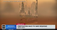 Firefighters race to save grove of giant sequoias in Central California