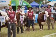 La ExpoBRA 2025 se prepara para mostrar la mejor ganadería del norte al país