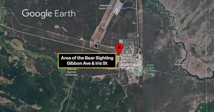 Bear sightings prompt safety alert in West Yellowstone