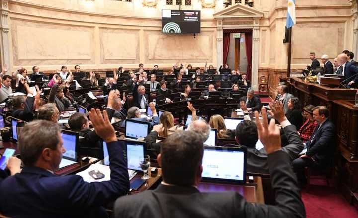 El Senado frenó la motosierra en Discapacidad