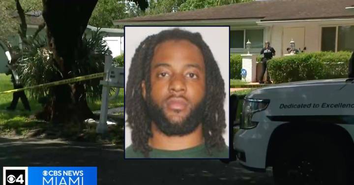 Murder suspect swam across canal, climbed tree trying to evade police, authorities say