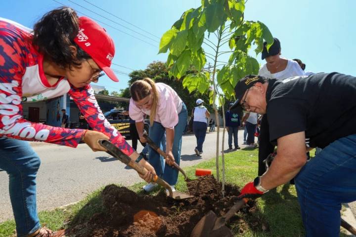 Ya son 100 los árboles protegidos con Valor Cultural y Patrimonial de Mérida: Cecilia Patrón