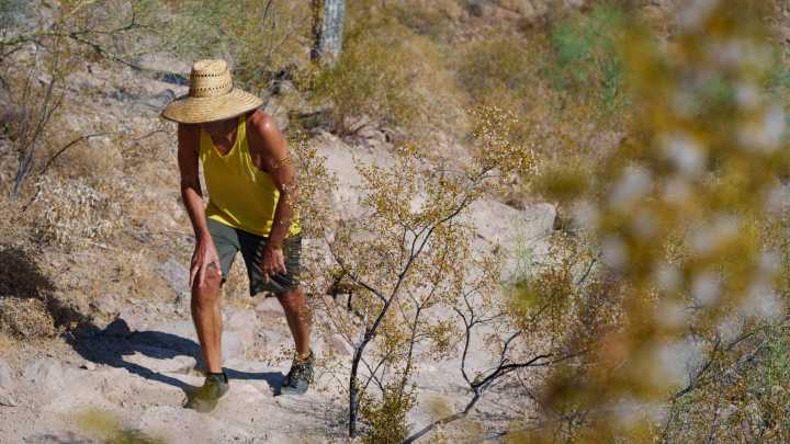 10 metro Phoenix spots everyone must visit. Vote for your favorite