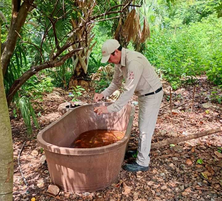 REFUERZAN COMBATE AL DENGUE EN SEMANA NACIONAL DE SALUD PÚBLICA