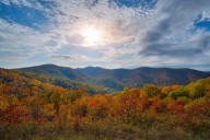 Vibrant fall foliage in the forecast for the DC area