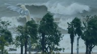 At least 14 dead as 'King of Storms' super typhoon crashes into Taiwan and 2million people evacuated in China