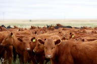 Regenerative Agriculture Is All Over the Agenda at Climate Week NYC. But What Does It Mean?