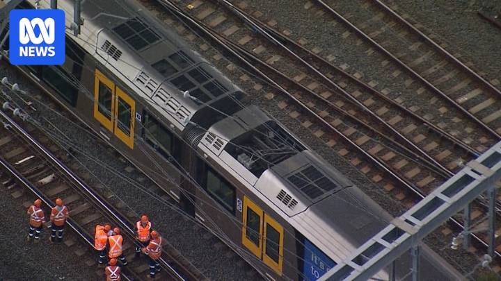 Sydney train network review finds fallen live cable wire risk identified years ago, service recovery too slow
