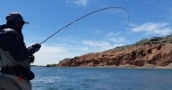 Villa El Chocón: vuelve el curso gratuito de pesca con mosca con salida práctica en la Boca del Sapo