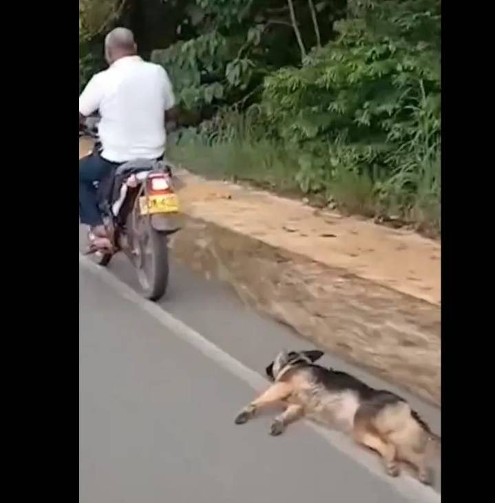 Rechazo nacional por video en la que un hombre arrastra a un perro con su moto