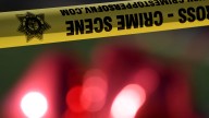 Carjacking suspect leads Louisville police in car chase before arrest
