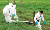 En operación militar fue neutralizado un integrante del comando oriente Martín Villa