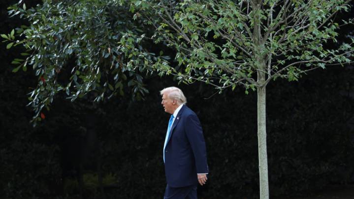 Trump cancels meeting with Schumer and Jeffries on keeping the government open