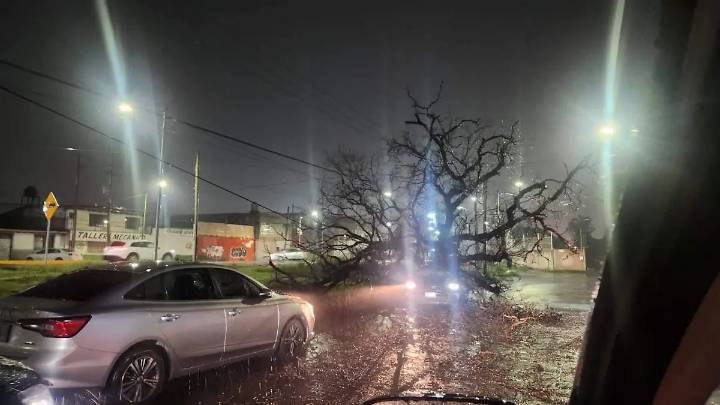 Celaya bajo lluvia: ríos en aumento, árboles y postes derribados