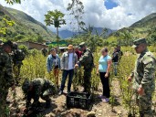 Obstáculos en controlar zonas de producción de coca, avances limitados en inversión social