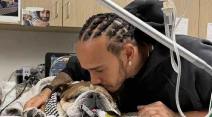 Lewis Hamilton dice que la muerte de su perro Roscoe es "una de las experiencias más dolorosas"