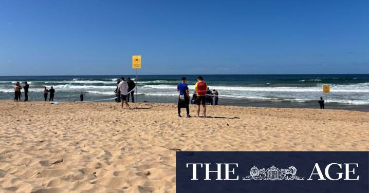 Dee Why shark attack: Man dies at Long Reef Beach