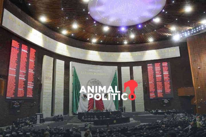 Cámara de Diputados aprueba prohibir venta de bebidas energizantes a menores de 18 años