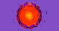 Scientists Printed Viruses Designed by AI and They’re Successfully Reproducing
