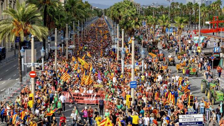 La defensa del catalán une a partidos y entidades en una Diada marcada por la lluvia en Barcelona