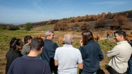 Rueda destaca el papel de la ganadería extensiva frente a los incendios y anuncia nuevas ayudas al rural