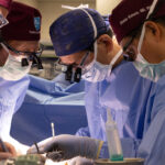 Another New Hampshire man gets a pig kidney as transplant trials are poised to start