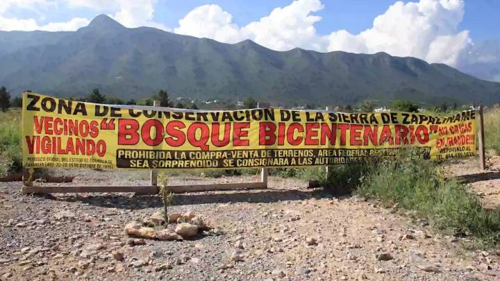 Rescatan vecinos bosque arrasado; plantan 80 árboles en Parque Bicentenario