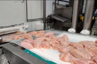 Las importaciones de carne aviar crecieron 295% y exportaciones cayeron 5% en 2025