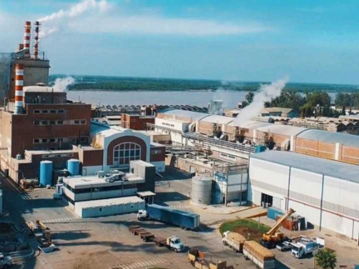 Celulosa Argentina al borde de la quiebra: sin avances en la búsqueda de un inversor, presentó su concurso de acreedores